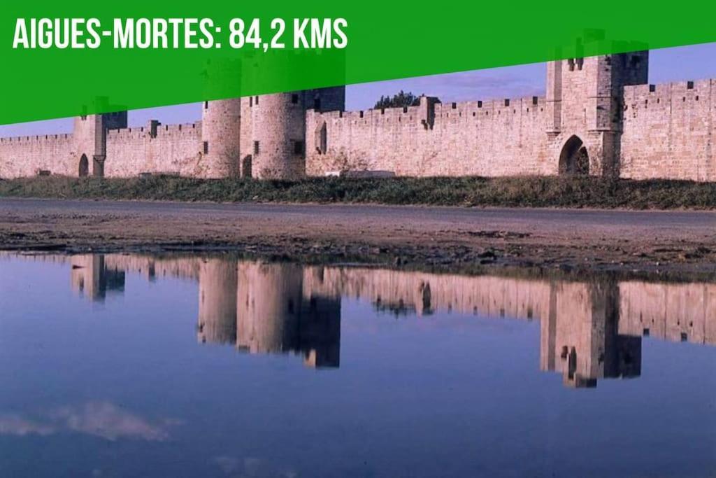 דירות אביניון La Cachette De L'Horloge - Ac Clim - Wifi - 100M Palais Des Papes מראה חיצוני תמונה
